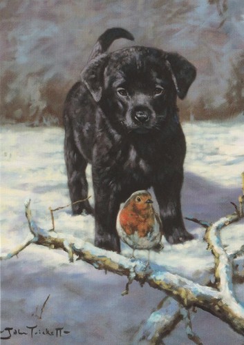 Biglietto pittura natale - biglietto,