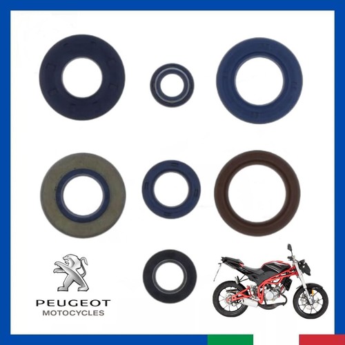 Kit paraolio revisione motore