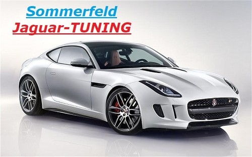 Marmitta sportiva jaguar - marmitta,