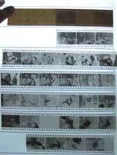 Raccolta DDR foto negativi