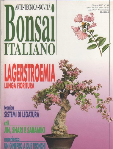 Bonsai italiano 35 - bonsai, n.