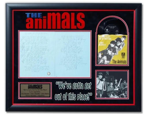 The animals testo scritto - animals,