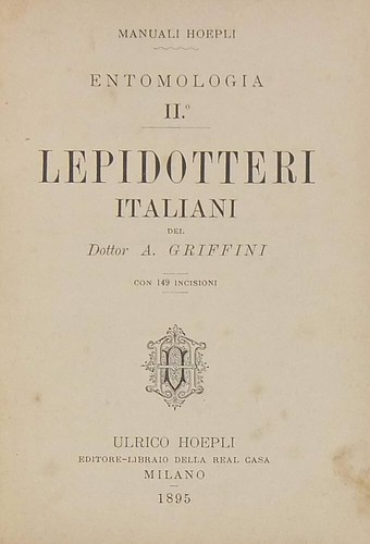 Griffini achille entomologia - griffini,