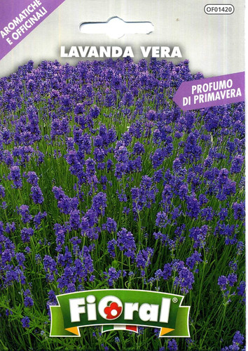 Sementi piante aromatiche e - piante,