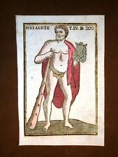 Dio Musagete o Apollo Settecentina acquerellata a mano del 1785 Andre Declaustre