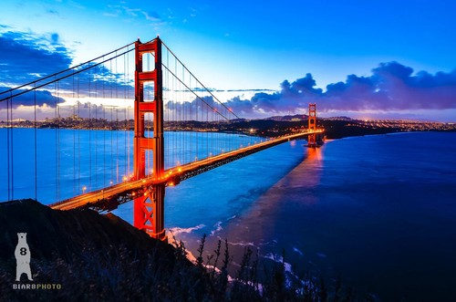 The golden gate bridge - the,