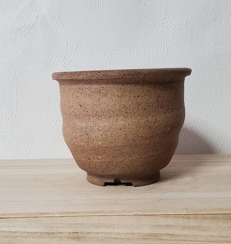 Vaso per bonsai - , giapponese