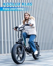 Bicicletta Elettrica Fino