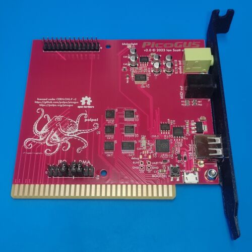 Picogus isa gravis ultrasound - isa,