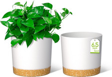 Vasi per Piante Da 16,5 Cm