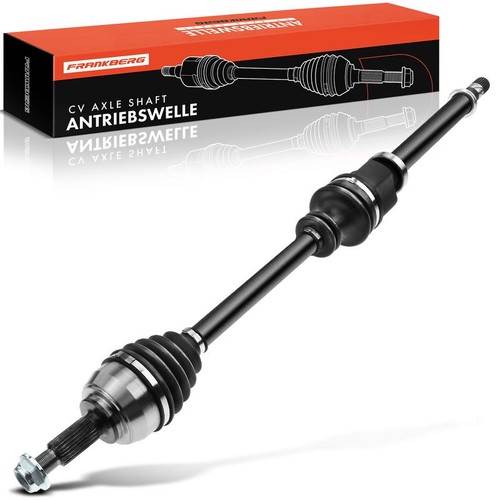 Frankberg albero motrice - albero,