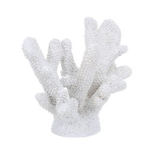  Decorazione Corallo Bianco -