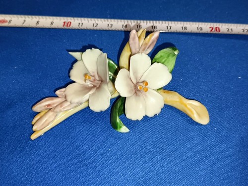 Porcellana capodimonte ramo - capodimonte,