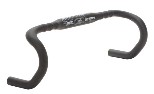 Deda elementi hydra anatomic - deda,