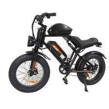 Bicicletta Elettrica 48v