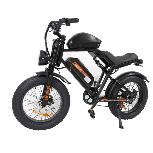 Bicicletta elettrica 48v - elettrica,