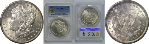 1893 morgan dollar - 1893,
