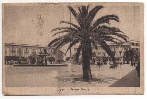 Foggia piazza cavour - -,