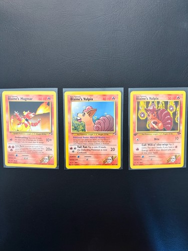 Pokemon sfida palestra eroi - pokemon,