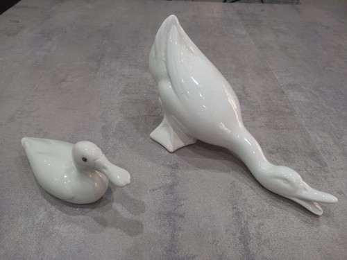 Coppia anatre ceramica - coppia, in