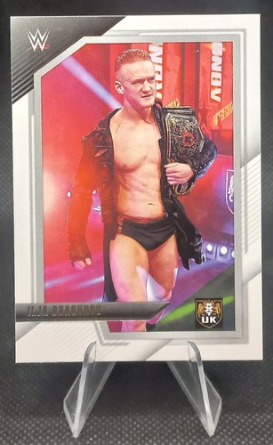 Panini 2022 wwe nxt - 2022, ilja