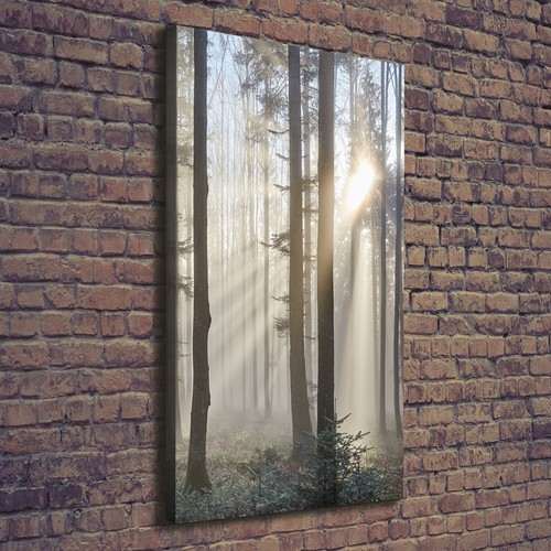 Stampa tela tulup wall art - stampa,