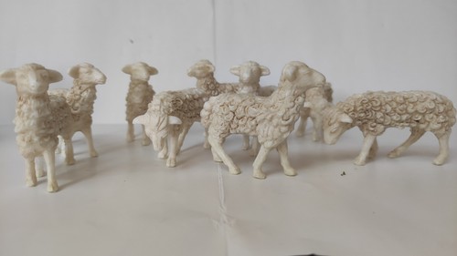 Pastori set pecore per - set, 9
