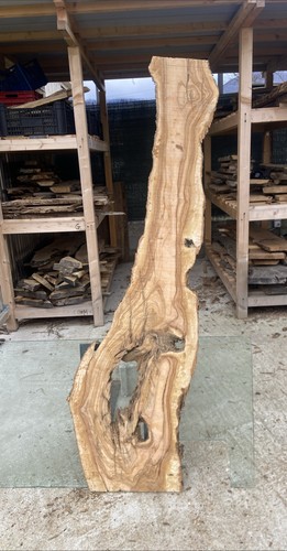Tavola legno ulivo 170x max - legno,