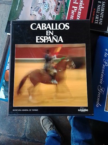 Caballos espana gabriel - en,