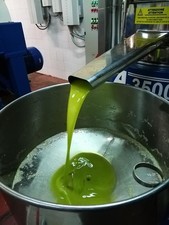 Olio evo Nocellara del Belice 2024/25 5 lt