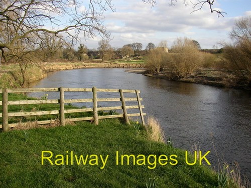 Photo the river - photo,