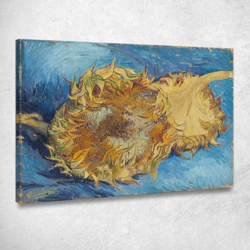 Due girasoli tagliati vincent - tagliati,