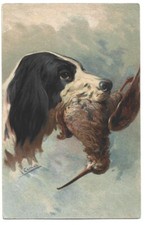 Antica Cartolina ANIMALI: CANE DA CACCIA CON PREDA, SETTER, BRETTON, SPINONE