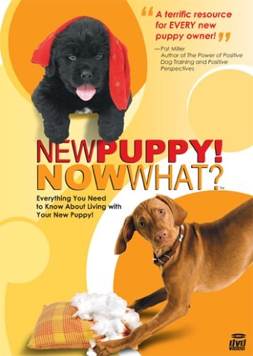 New puppy now what - puppy!, what?
