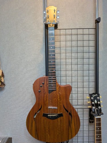 Taylor chitarra classica - taylor,