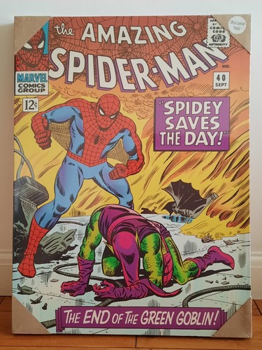The amazing spider - the,