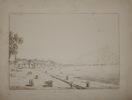 Goldicutt pinelli marina - goldicutt,
