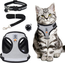 Pettorina Gatto Antifuga Con