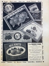 CUCINA-FRUTTA-POMODORI-CONSERV