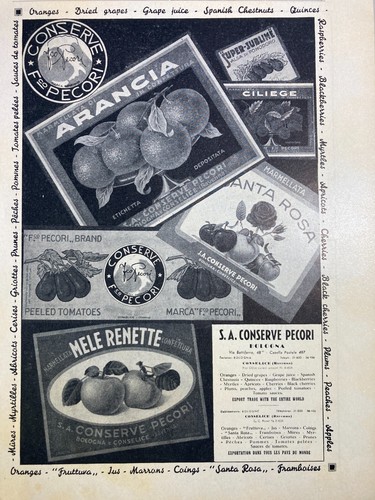 CUCINA-FRUTTA-POMODORI-CONSERV