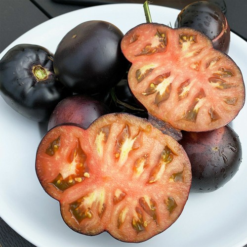 Pomodoro black beauty - pomodoro,