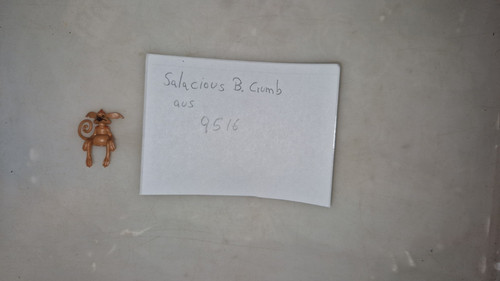 Lego salacious crumb dal - lego,