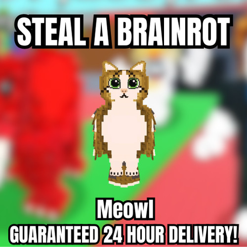Meowl ruba - -,