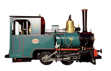 Locomotiva a vapore dal vivo