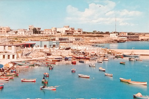 Cartolina bari torre a - -,