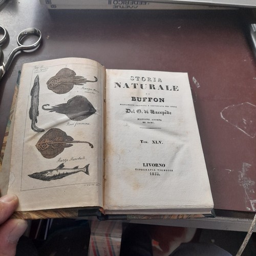Storia naturale 1832 - storia,