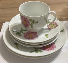 Richard Ginori Porcelain Floor