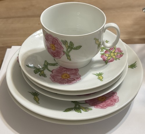 Richard ginori porcelain floor - porcelain,