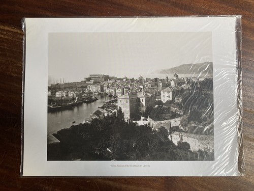 Stampa tipografica savona - -,