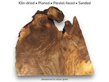 Fetta di legno radice di noce